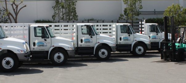Fleet of white flatbed trucks parked